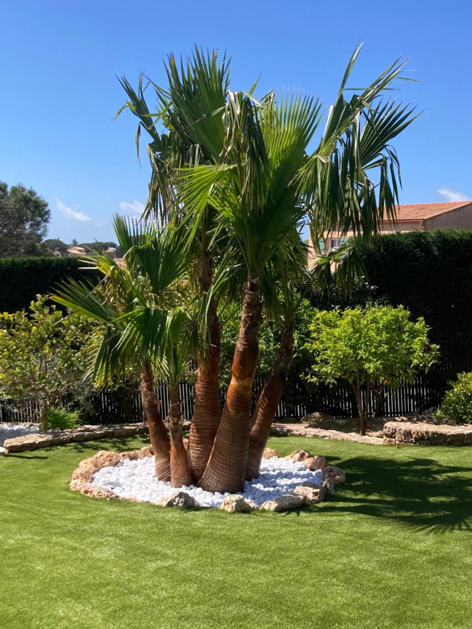 Villa Riposa Frejus Ngoại thất bức ảnh