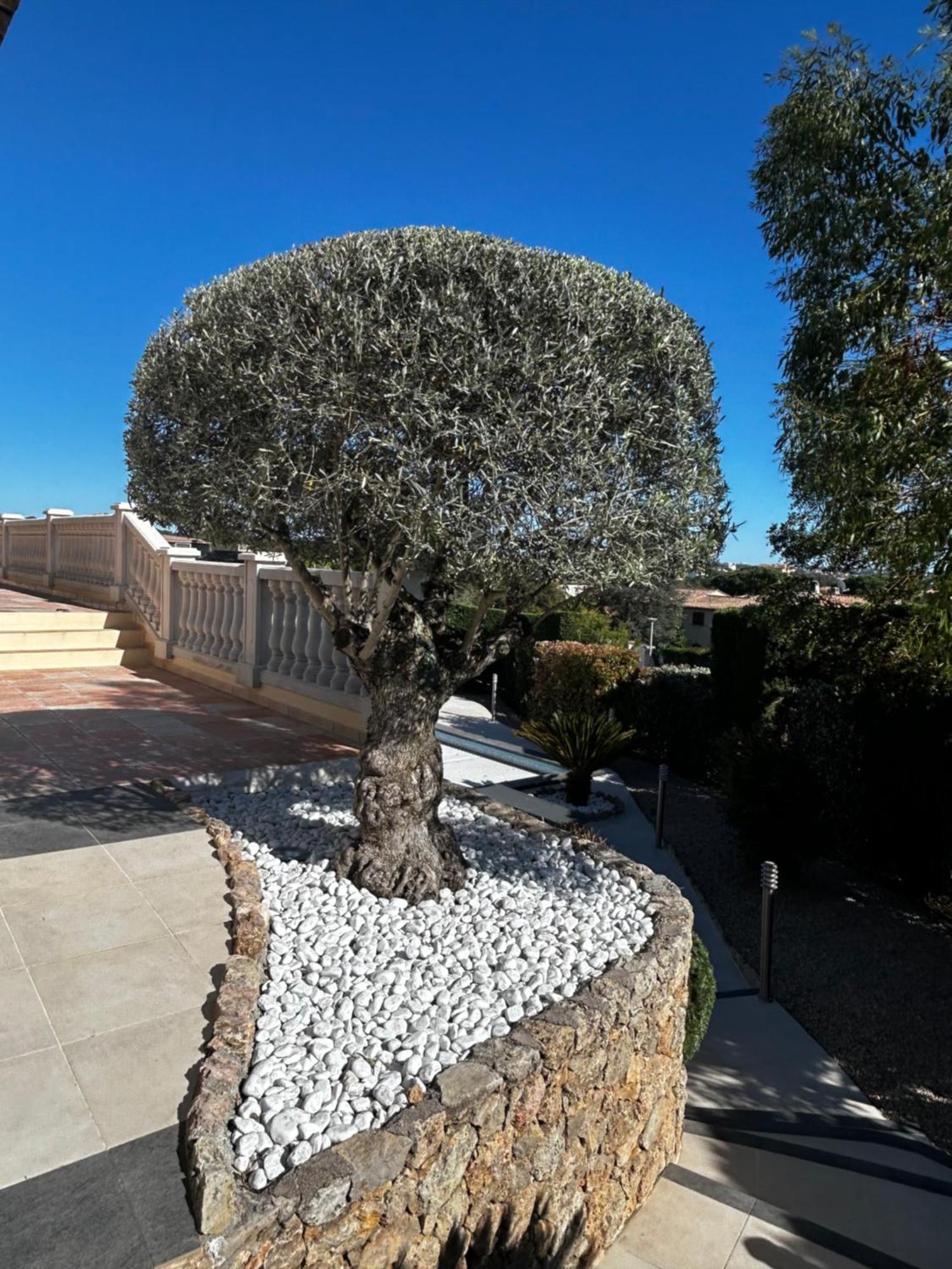 Villa Riposa Frejus Ngoại thất bức ảnh